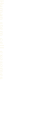 ヒト幹細胞エクソソーム配合
