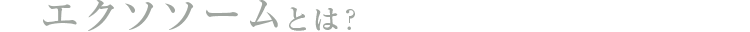 エクソソームとは?