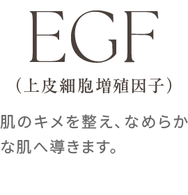 EGF（上皮細胞増殖因子）