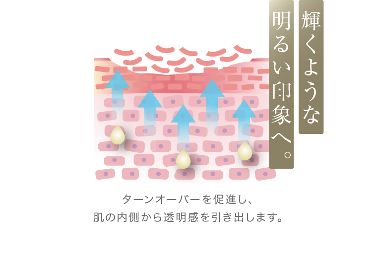 輝くような明るい印象へ。