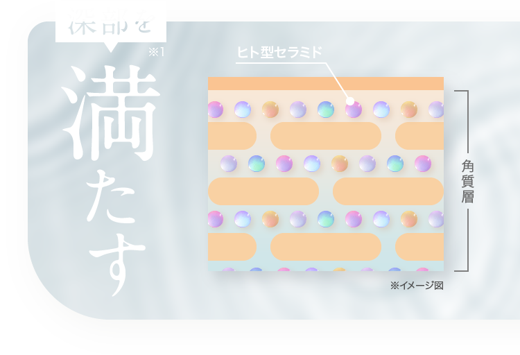 深部を満たす