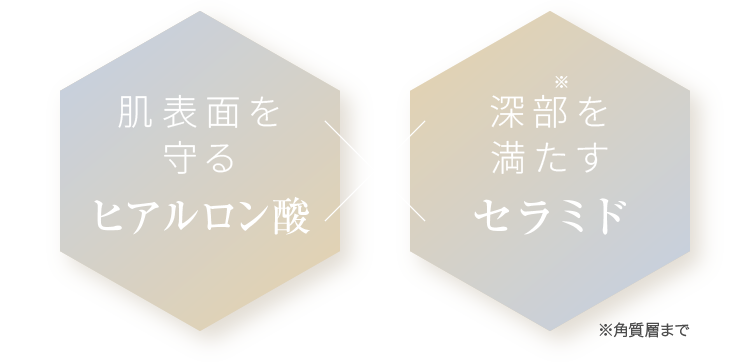 肌表面を守るヒアルロン酸×深部を満たすセラミド