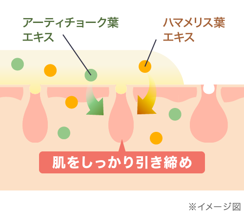 肌をしっかり引き締め