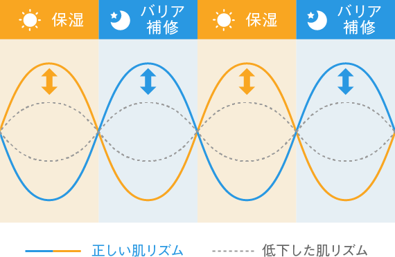 遺伝子肌リズムと肌状態