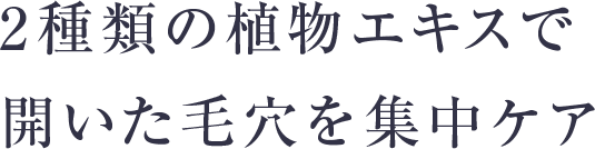 2種類の植物エキスで開いた毛穴を集中ケア