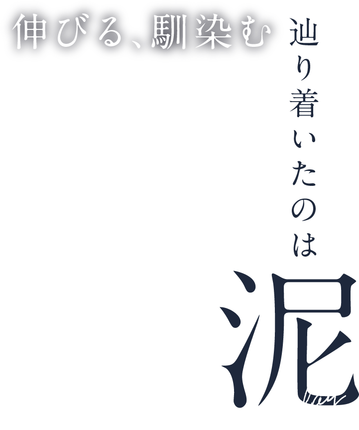 辿り着いたのは辿り着いたのは泥